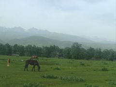 -新疆那拉提国家旅游度假区
