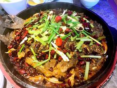 -老板恋上鱼(恒隆广场店)