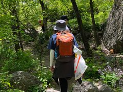 -阳台山自然风景区