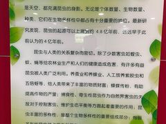 -上海昆虫博物馆