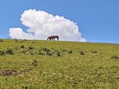-新疆那拉提国家旅游度假区