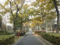 android_upload_pic-新江湾城公园