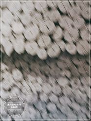 -木北造型