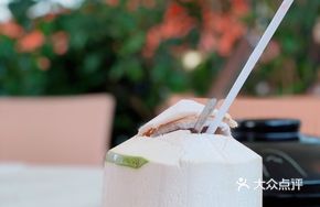 Thai Light Sweet Coconut Jelly