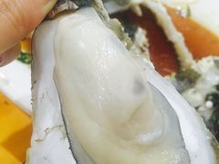 -蚝专家(北滘店)