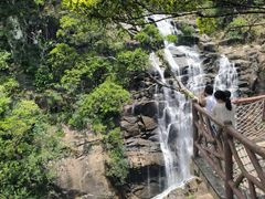 -海南热带雨林国家公园吊罗山景区