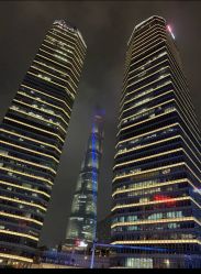 -巍阁高端月子会所