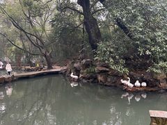 -兰亭风景区