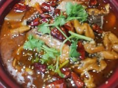 毛血旺-北京老铺烤鸭(老城根店)