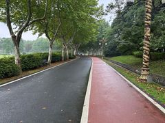 -宜兴龙背山森林公园