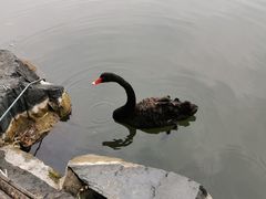 -上海怡沁园度假酒店