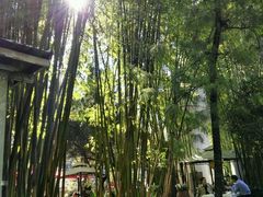 -新竹里馆·花园餐厅(兴苑路店)