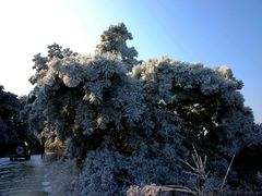 -鲁山国家森林公园