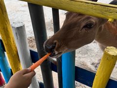 -西部长青自然儿童乐园