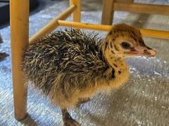 -陈生记黑鱼馆·20年活鱼现杀(宁波鼓楼店)
