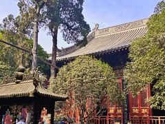 -洛阳白马寺
