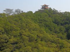 -大屏嶂森林公园
