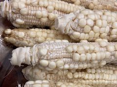 -前小桔亲子创意农场·草莓采摘·露营烧烤