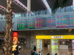 -合肥新桥国际机场-航站楼