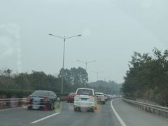 -南山植物园