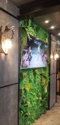 -上禾 HAIR SALON