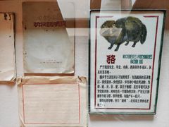 -北京动物园-畅观楼