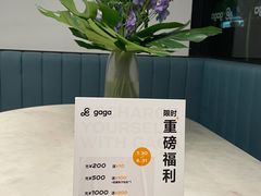 -gaga(深圳南山益田假日广场店)