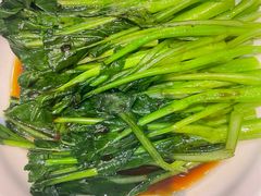 空心菜-日月昇渔家菜·海肠捞饭·大连海鲜(星海公园店)