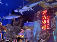 -烟台海昌鲸鲨海洋公园