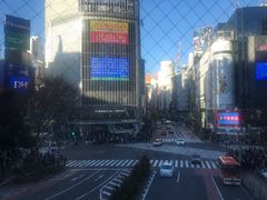 -涩谷区
