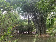 -成都杜甫草堂博物馆