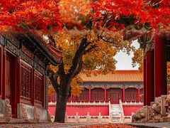 -故宫博物院(故宫)
