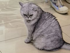 -Oasis绿洲银饰珍珠手作diy(壹方城店)