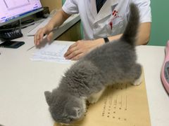 -全心全意连锁动物医院(石景山店)