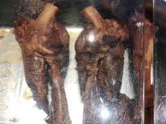 -紫光园(顺义店)