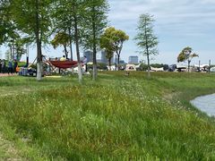 -春花秋色城市公园