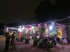 -东家小院金汤酸菜鱼(南阳路店)