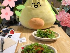 -油梨树AVOCADO TREE(嘉里中心店)