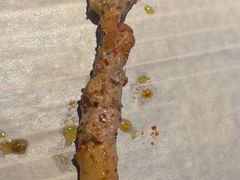 -肉串汪(月坛店)
