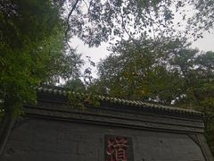 -青城山