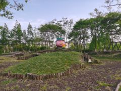 -田园东方蜜桃村的田野营地