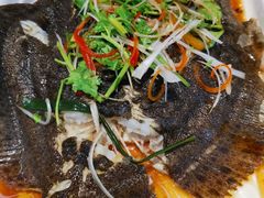 多宝魚-盒马鲜生(悠方店)