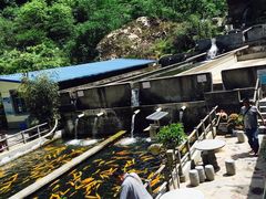 -建社鱼庄(管坪店)