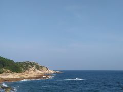 -广东惠东海龟国家级自然保护区