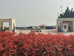 -青岛得宝湾维景国际大酒店