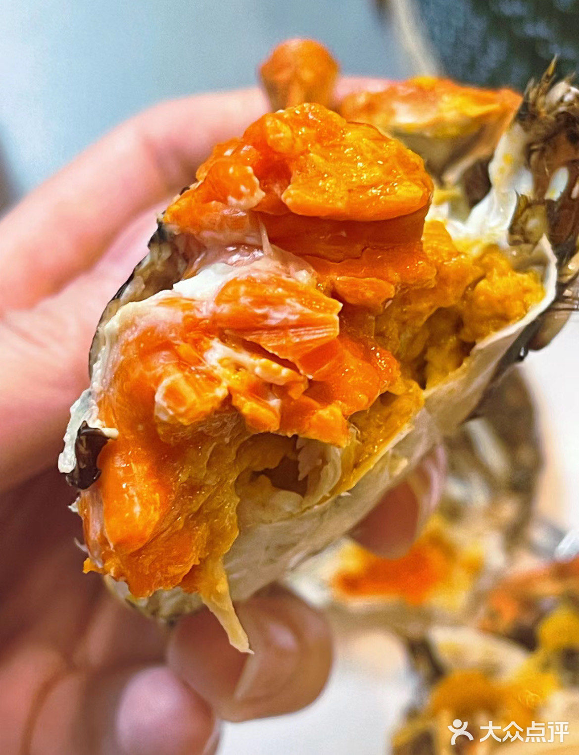 螃蟹🦀五个部位都不能吃❌