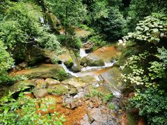 -赤水丹霞旅游区·佛光岩