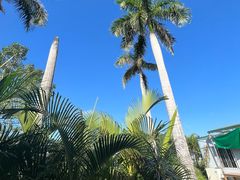 -亚龙湾国际玫瑰谷