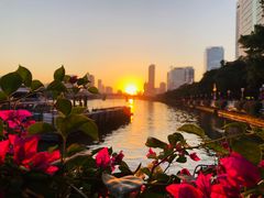 -珠江夜游广州塔·中大码头