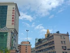 -深圳维景酒店